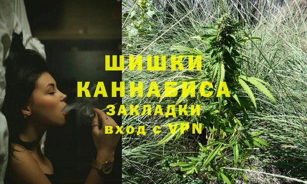 МДПВ Гусиноозёрск