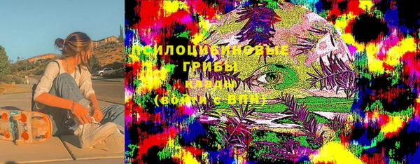 мескалин Гусев