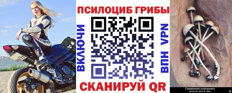 Псилоцибиновые грибы GOLDEN TEACHER  Купить  Вятские Поляны 