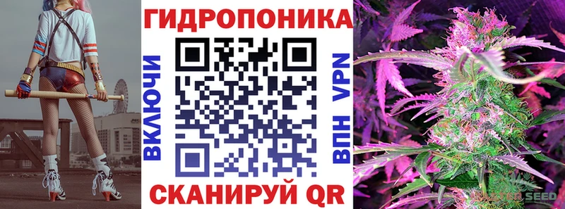 Канабис индика  Купить закладки  Вятские Поляны 